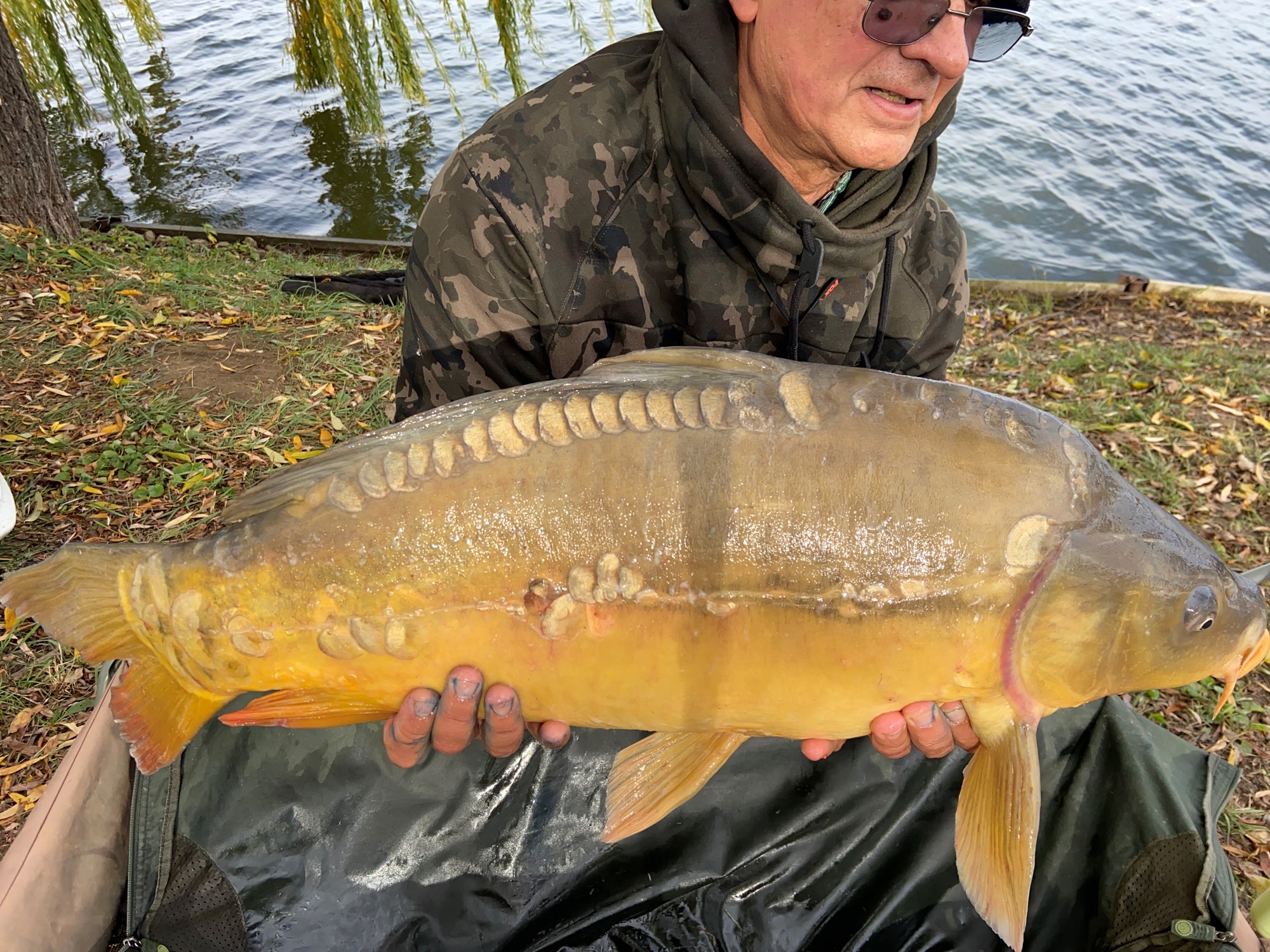 Dupa ani si ani ma voi intoarce T2/2023  - IMG5115.jpg